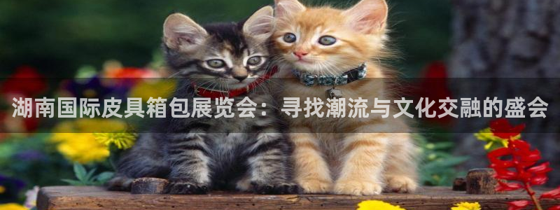 意昂3娱乐