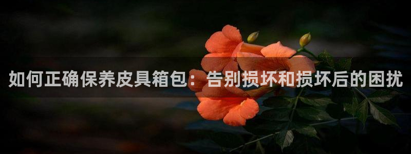 意昂体育3招商电话地址是多少