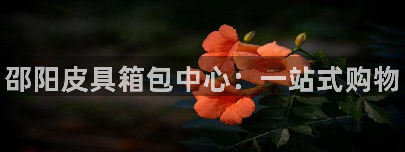 意昂3集团logo