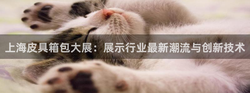意昂体育3是干嘛的公司
