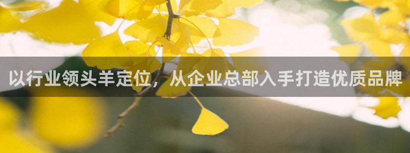 意昂3神州