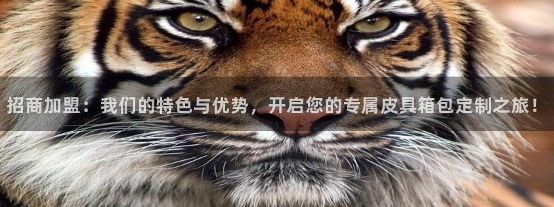 意昂3娱乐网站