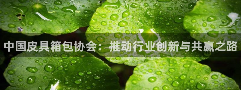 意昂体育3娱乐