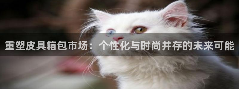 意昂体育3平台