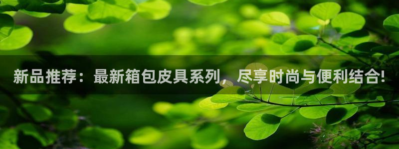 意昂体育3招商电话是多少啊