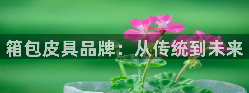 意昂体育3平台是正规平台吗