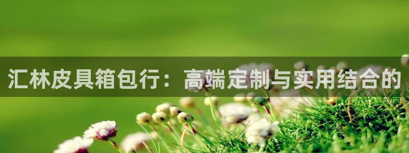 意昂平台体育