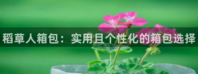 意昂体育3平台是正规平台吗安全吗
