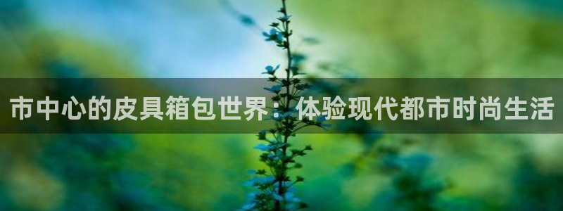 意昂3娱乐代理怎么样