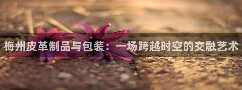 意昂体育3平台是正规平台吗