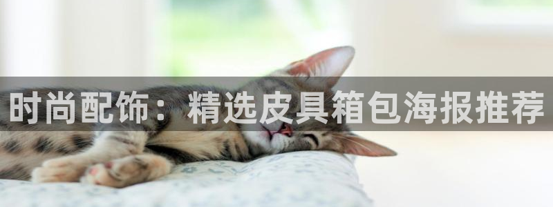 意昂3科技