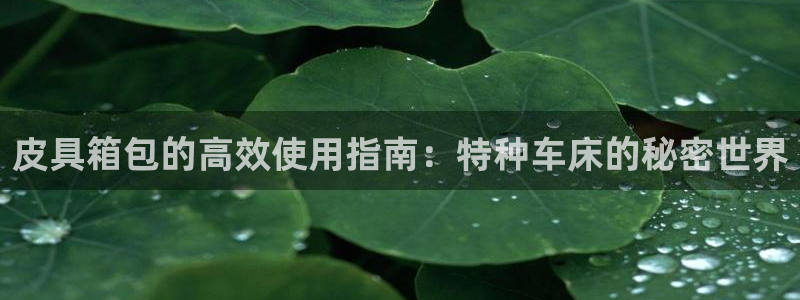 意昂体育3招商电话号码查询