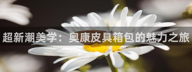 意昂3五金厂
